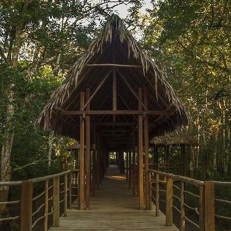 Treehouse Lodge Yucuruche Екстериор снимка