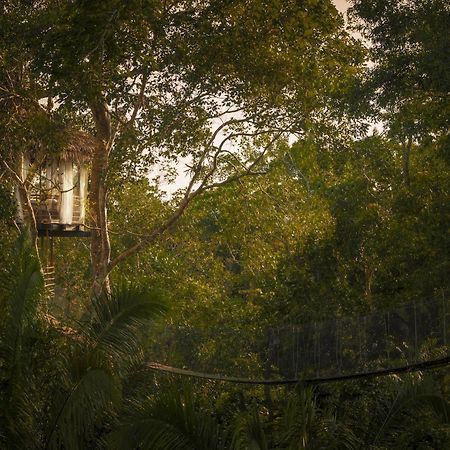 Treehouse Lodge Yucuruche Екстериор снимка