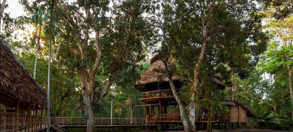 Treehouse Lodge Yucuruche Екстериор снимка