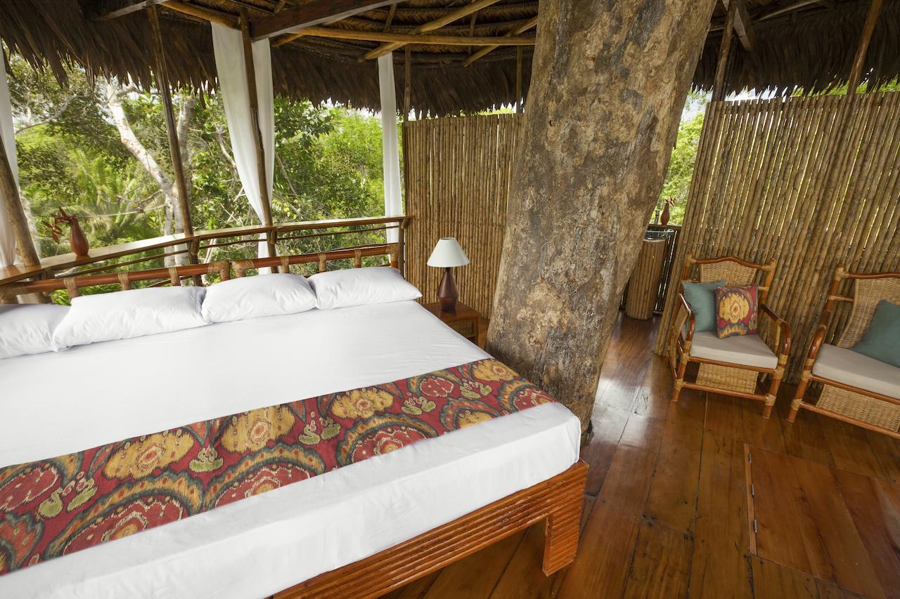 Treehouse Lodge Yucuruche Стая снимка