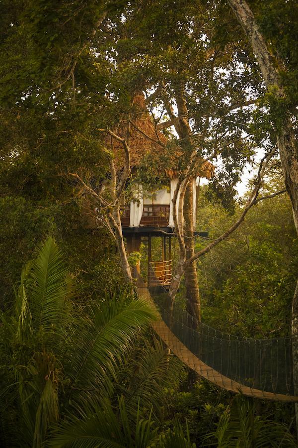 Treehouse Lodge Yucuruche Екстериор снимка