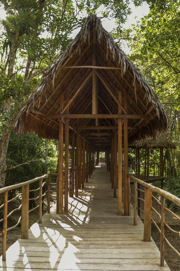 Treehouse Lodge Yucuruche Екстериор снимка