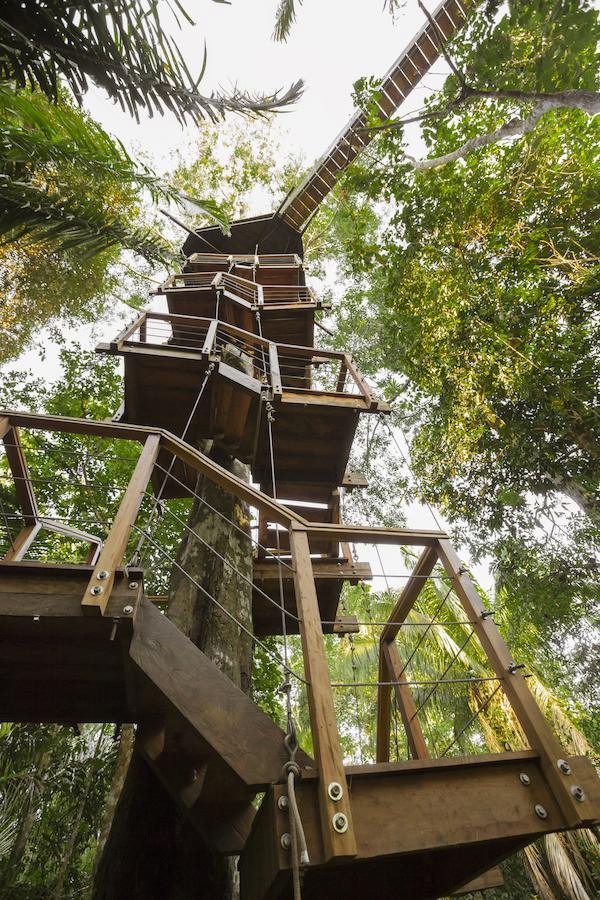 Treehouse Lodge Yucuruche Стая снимка