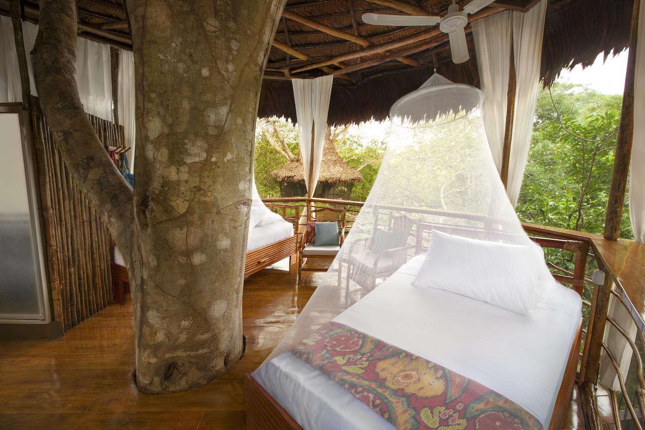 Treehouse Lodge Yucuruche Стая снимка