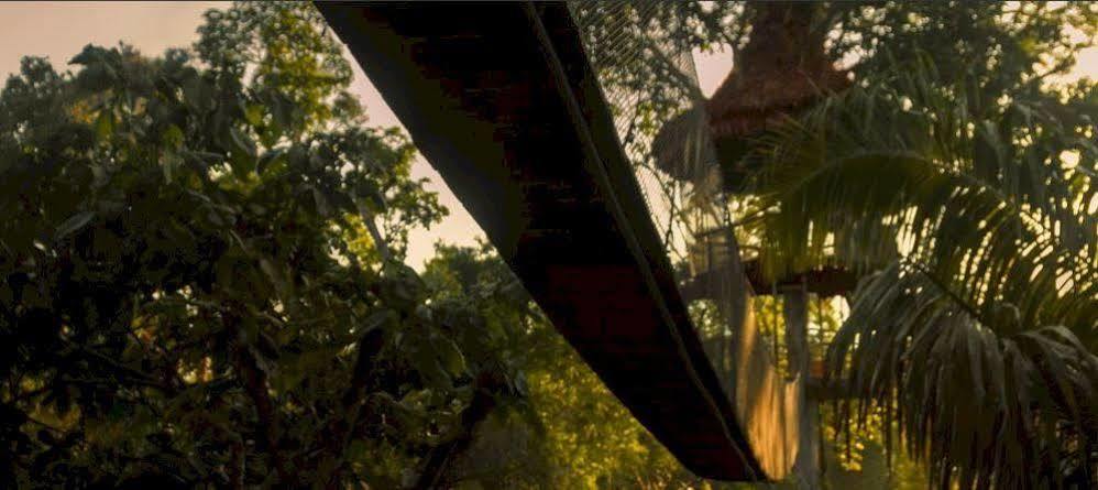 Treehouse Lodge Yucuruche Екстериор снимка