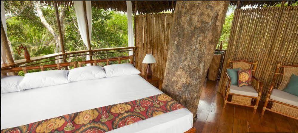 Treehouse Lodge Yucuruche Екстериор снимка