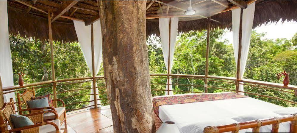 Treehouse Lodge Yucuruche Екстериор снимка