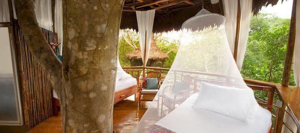 Treehouse Lodge Yucuruche Екстериор снимка