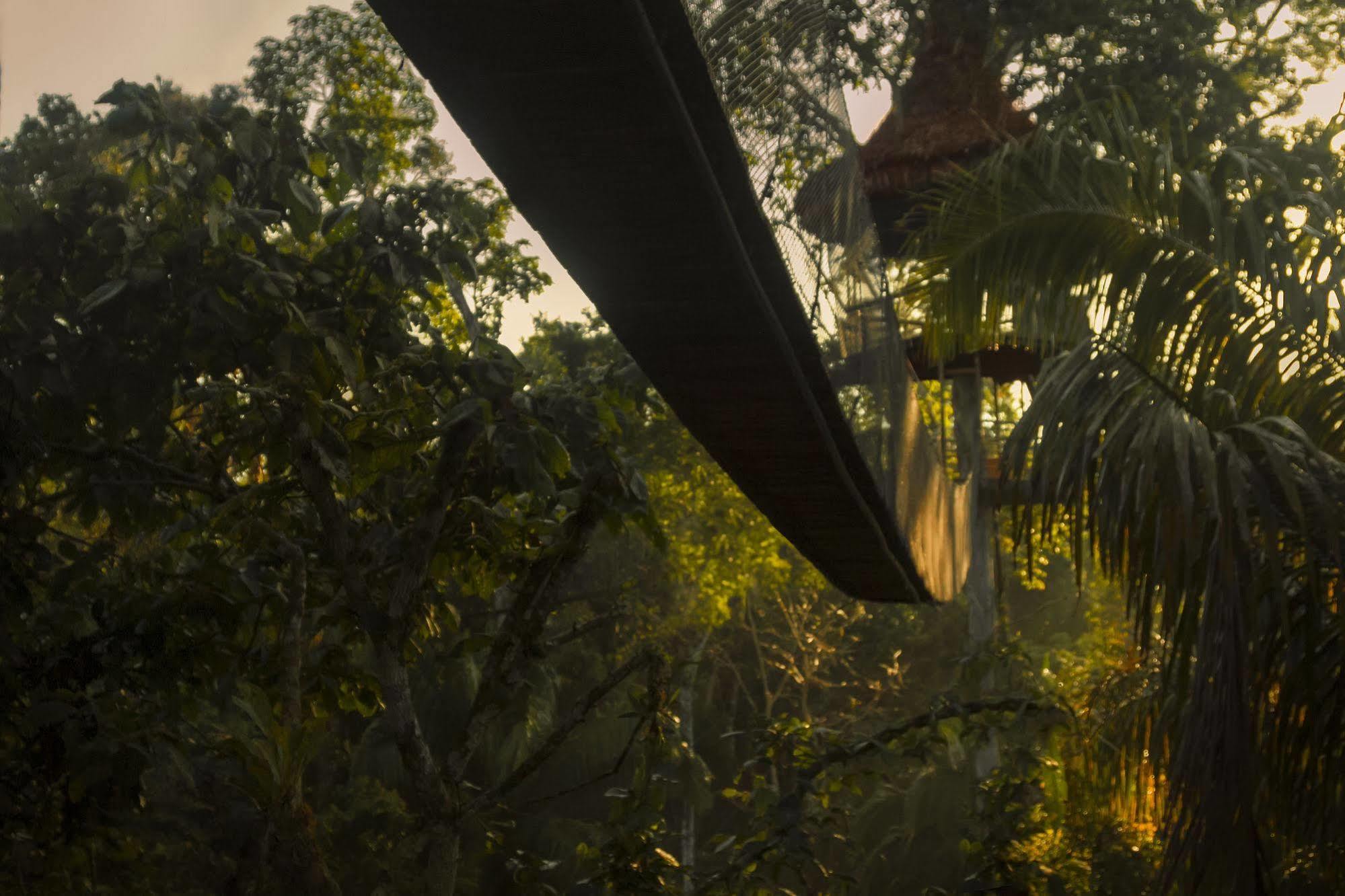 Treehouse Lodge Yucuruche Екстериор снимка